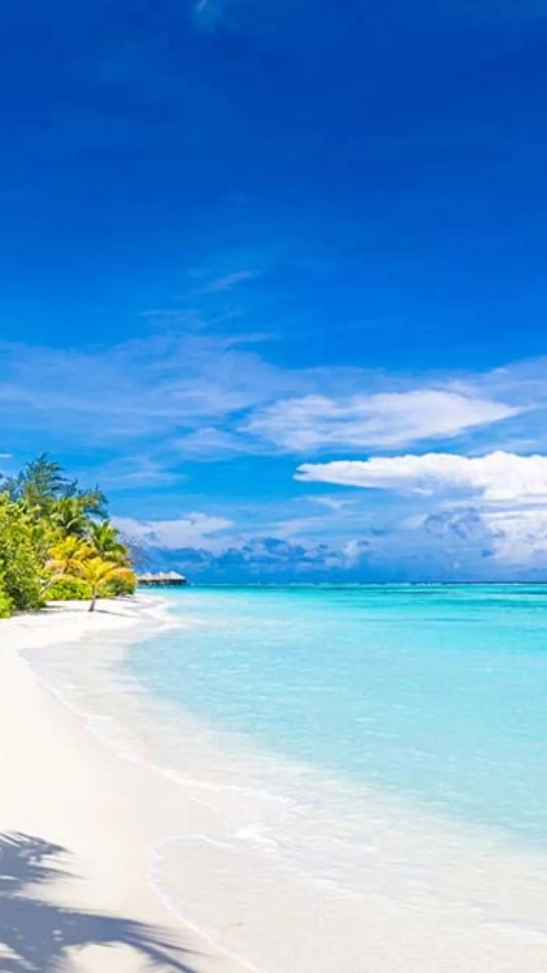 तस्वीरों में देखें मालदीव बनाम लक्षद्वीप, कौन सा Islands है ज्यादा खूबसूरत?