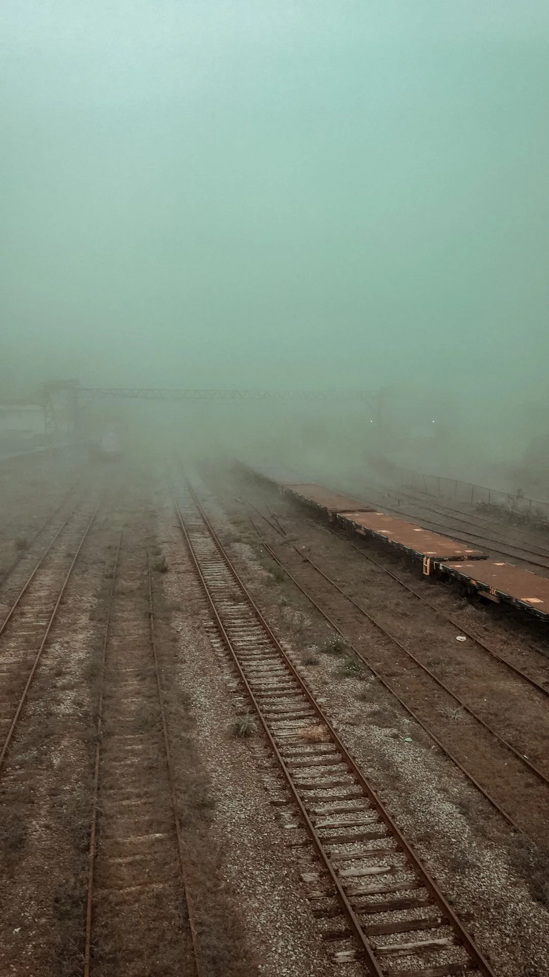 सर्दियों में ही क्यों दिखता है कोहरा, जानें इसकी वजह 