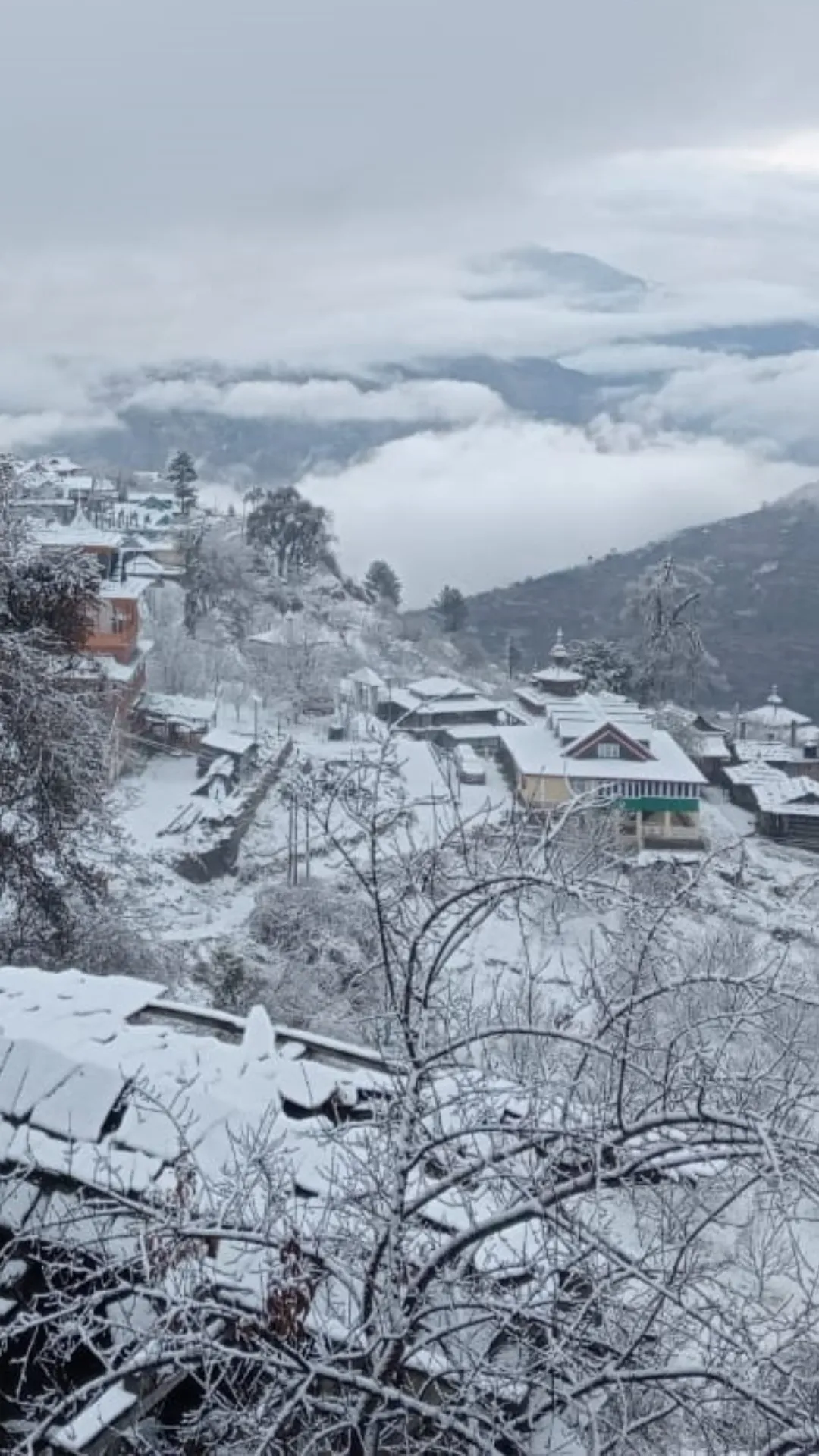 ये स्विट्जरलैंड नहीं 'शिमला' है, मन मोह लेगी ताजा बर्फबारी की तस्वीरें