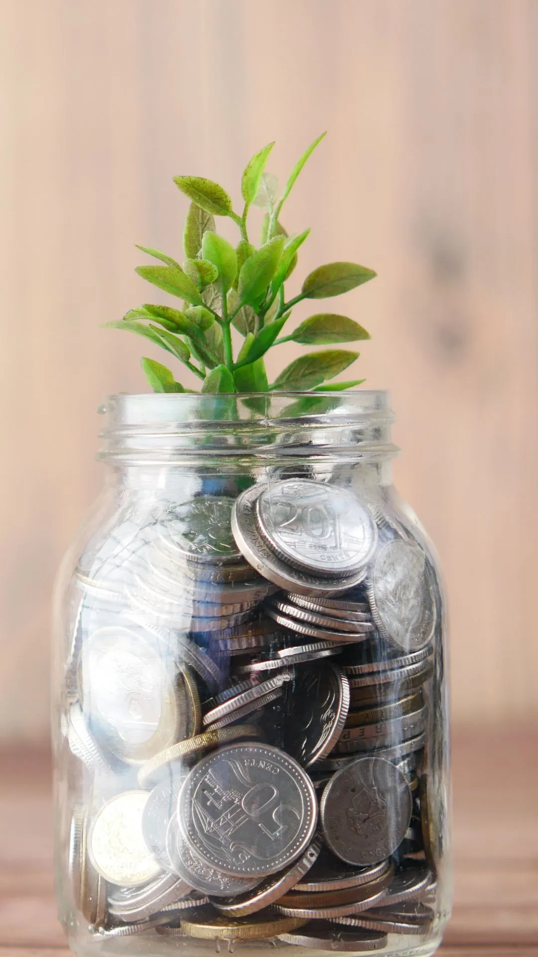 इन MidCap Funds ने कराई मोटी कमाई, दिया 47 प्रतिशत तक का रिटर्न