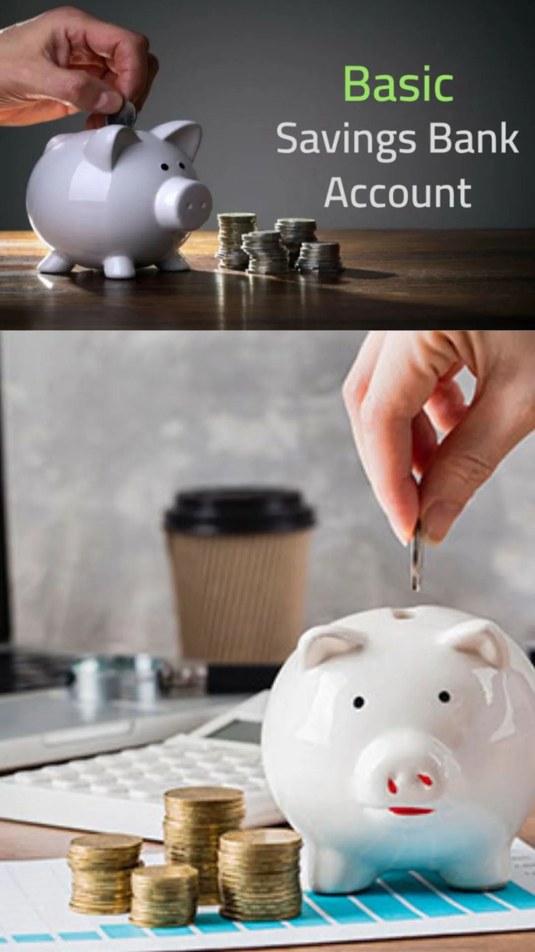FD जैसा ब्याज! ये 6 बैंक Saving account पर दे रहे 8% तक इंटरेस्ट
