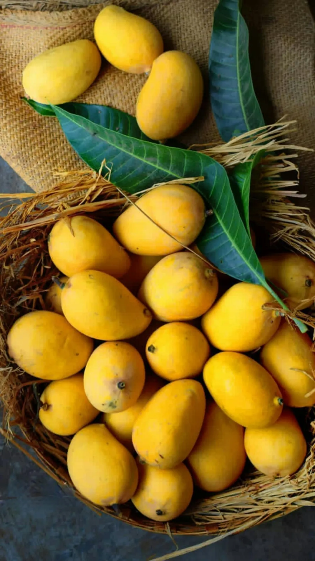भारत में सबसे ज्यादा आम उत्पादन किस राज्य में होता है?