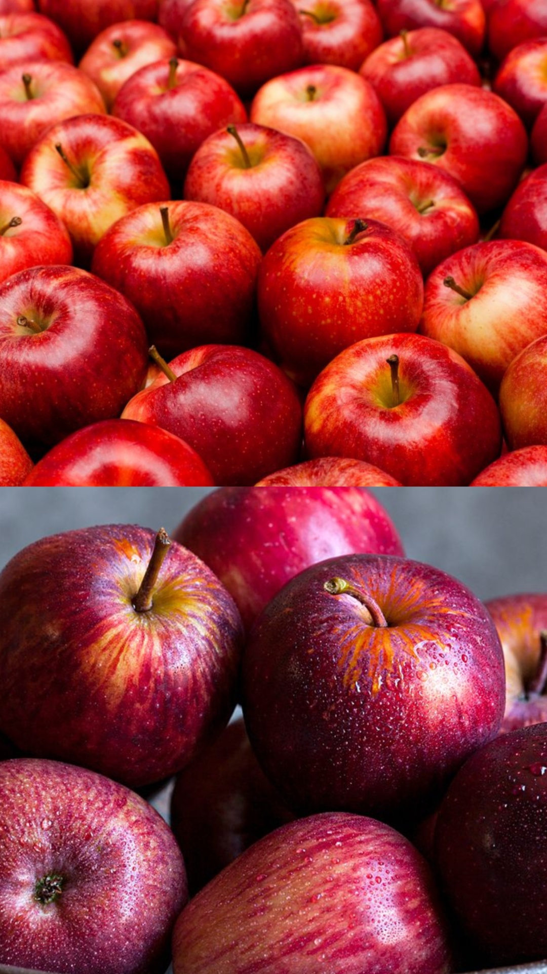 रोज एक सेब खाने से सेहत को मिलेंगे गजब के फायदे