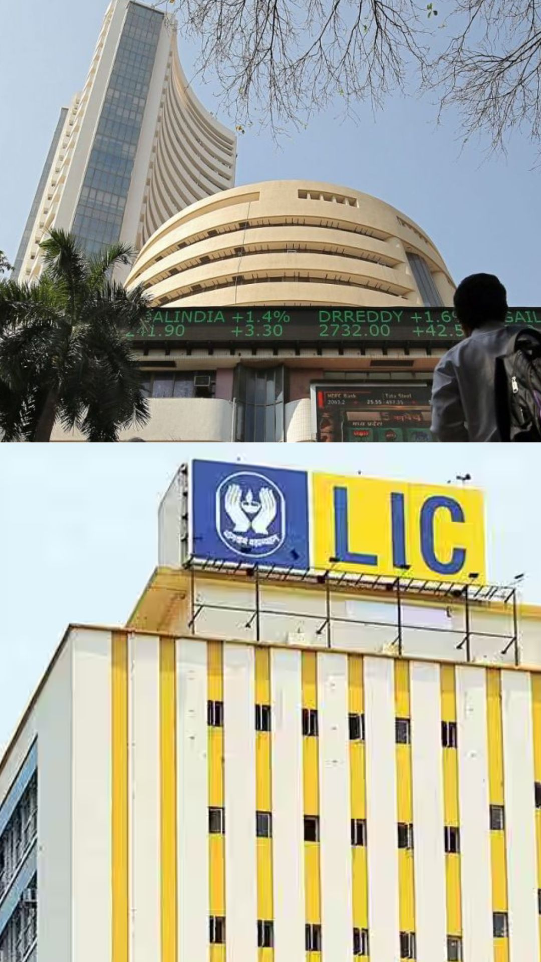 LIC के शेयर में जमकर बरस रहा पैसा, मिला 80 प्रतिशत का रिटर्न