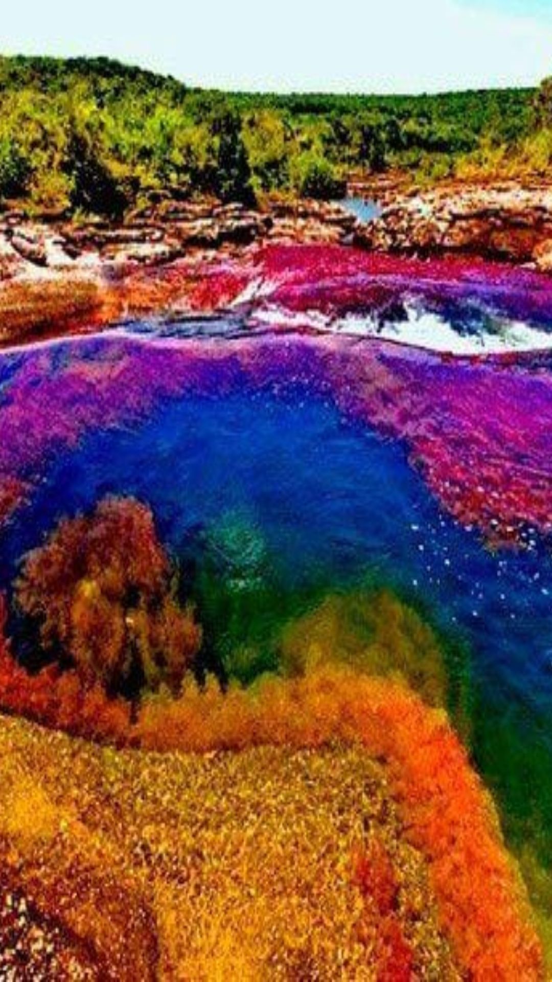 ये है दुनिया की सबसे रंग-बिरंगी नदी, बहता है 5 रंगों का पानी