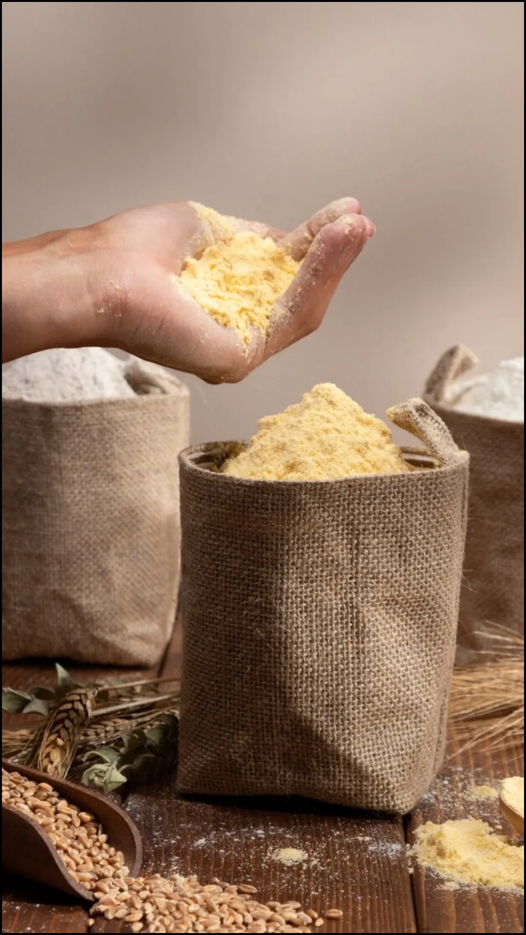 चने से बनता है बेसन और सत्तू, फिर क्या है अंतर?