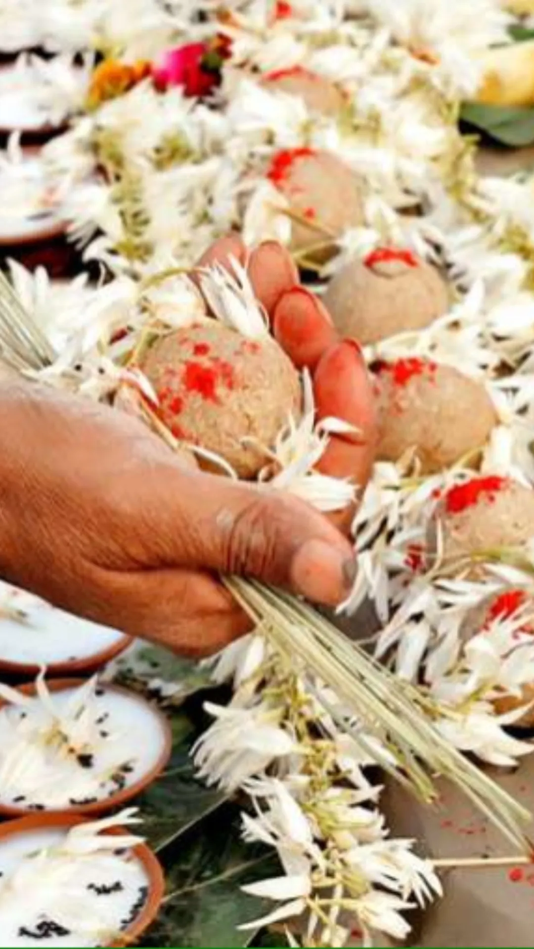 कैसे पहचानें घर में पितृ दोष है? जानिए
