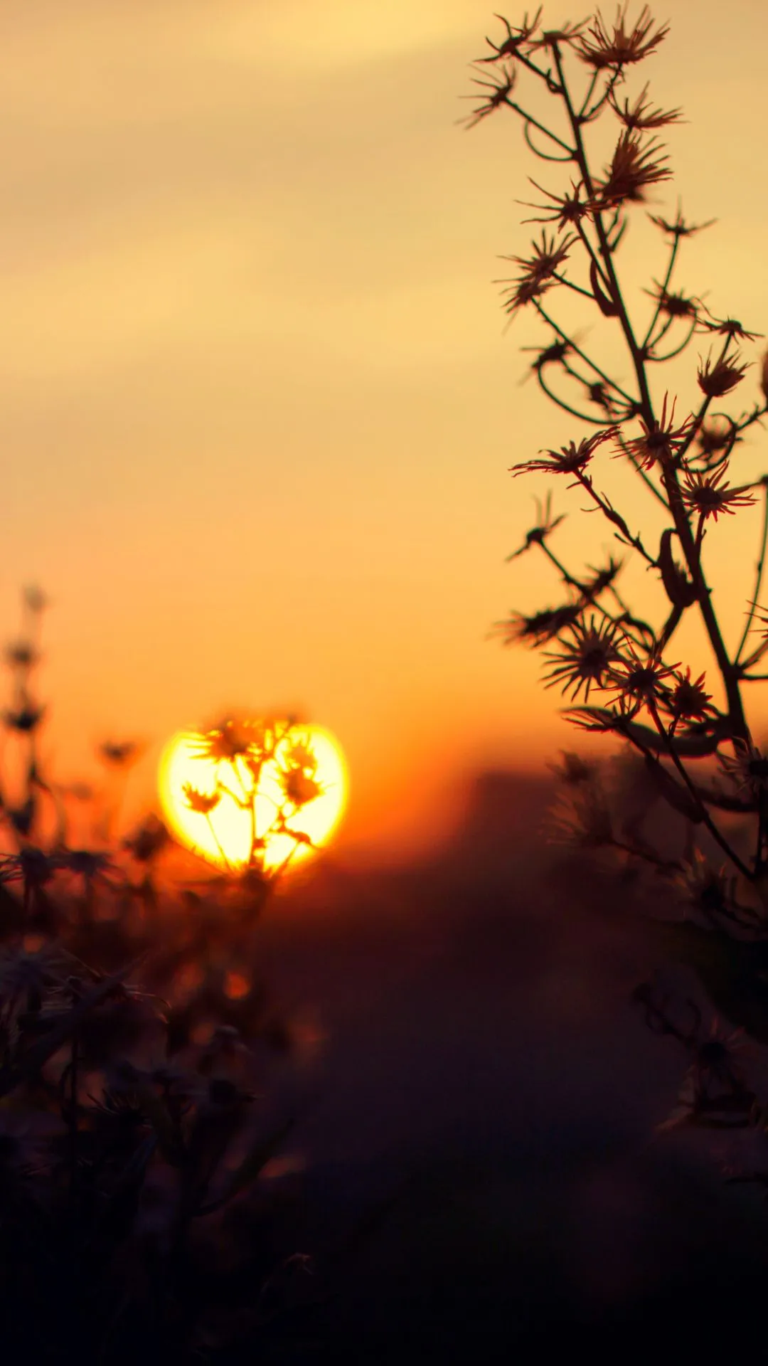 ब्रह्म मुहूर्त में अचानक से नींद खुल जाने का क्या है मतलब?