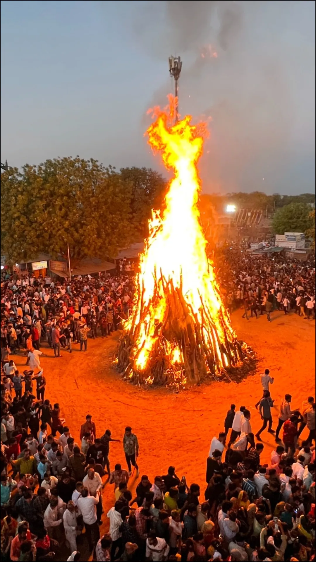 होलिका दहन में ये अनाज जरूर डालें, सुख-समृद्धि की होगी बरसात