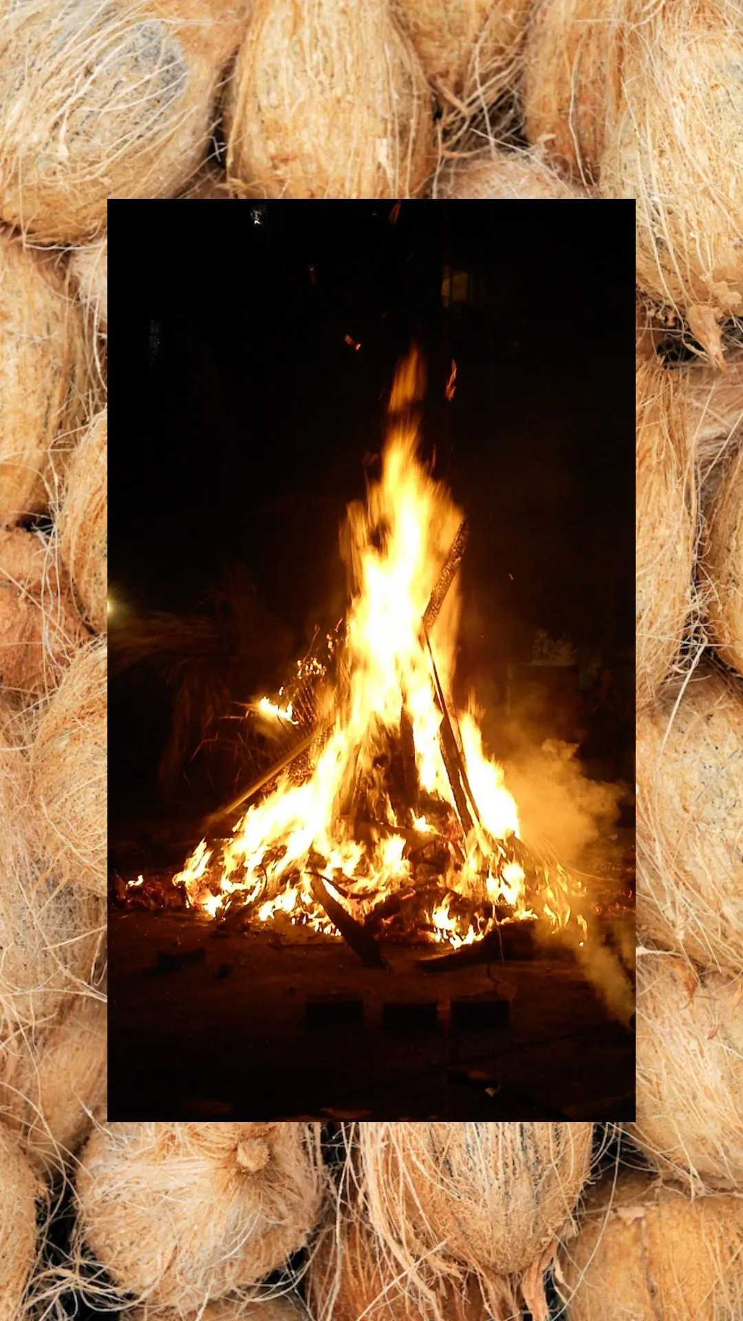 होलिका दहन में जरूर चढ़ाएं नारियल, होंगे कई सारे लाभ