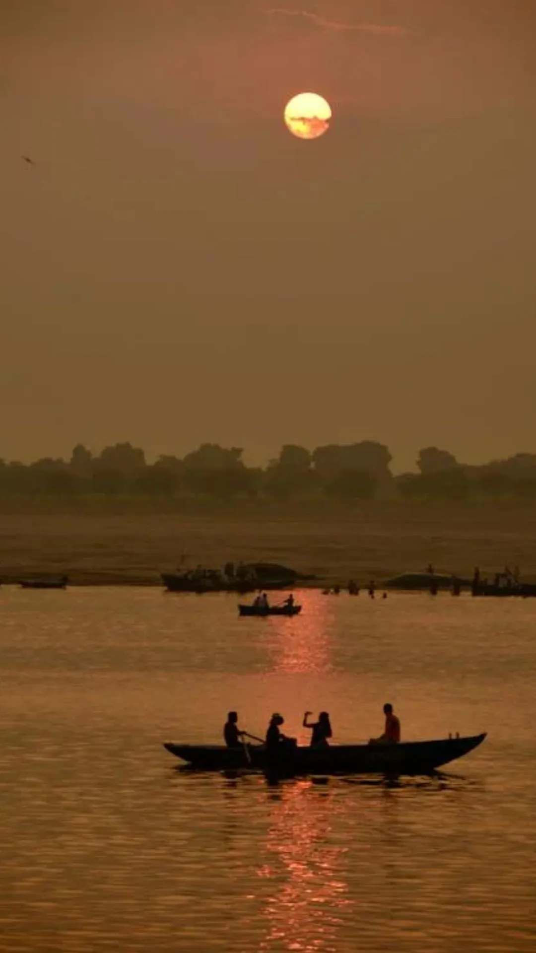 यूपी के किस जिले में अनुसूचित जाति का प्रतिशत सबसे ज्यादा है?