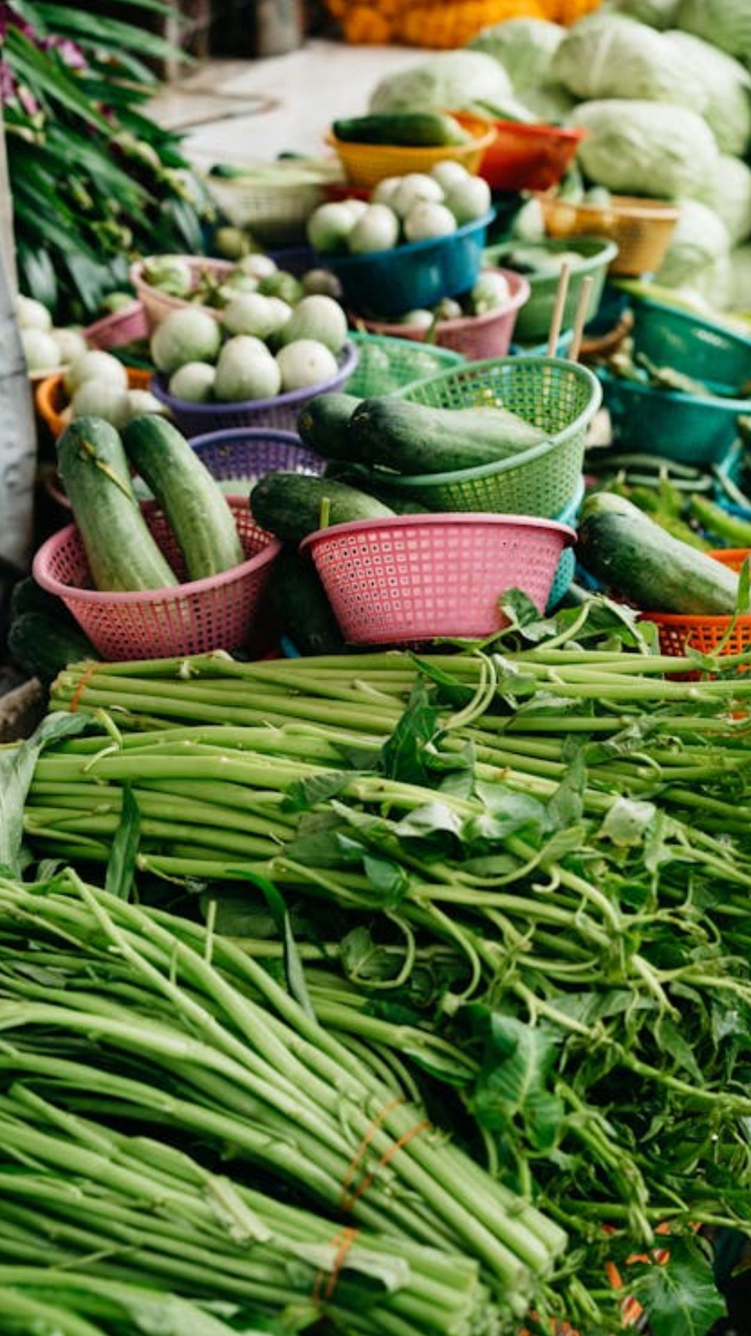 यूपी या बिहार, सब्जियों के उत्पादन में कौन है आगे? ये रहे 15 राज्यों के आंकड़े