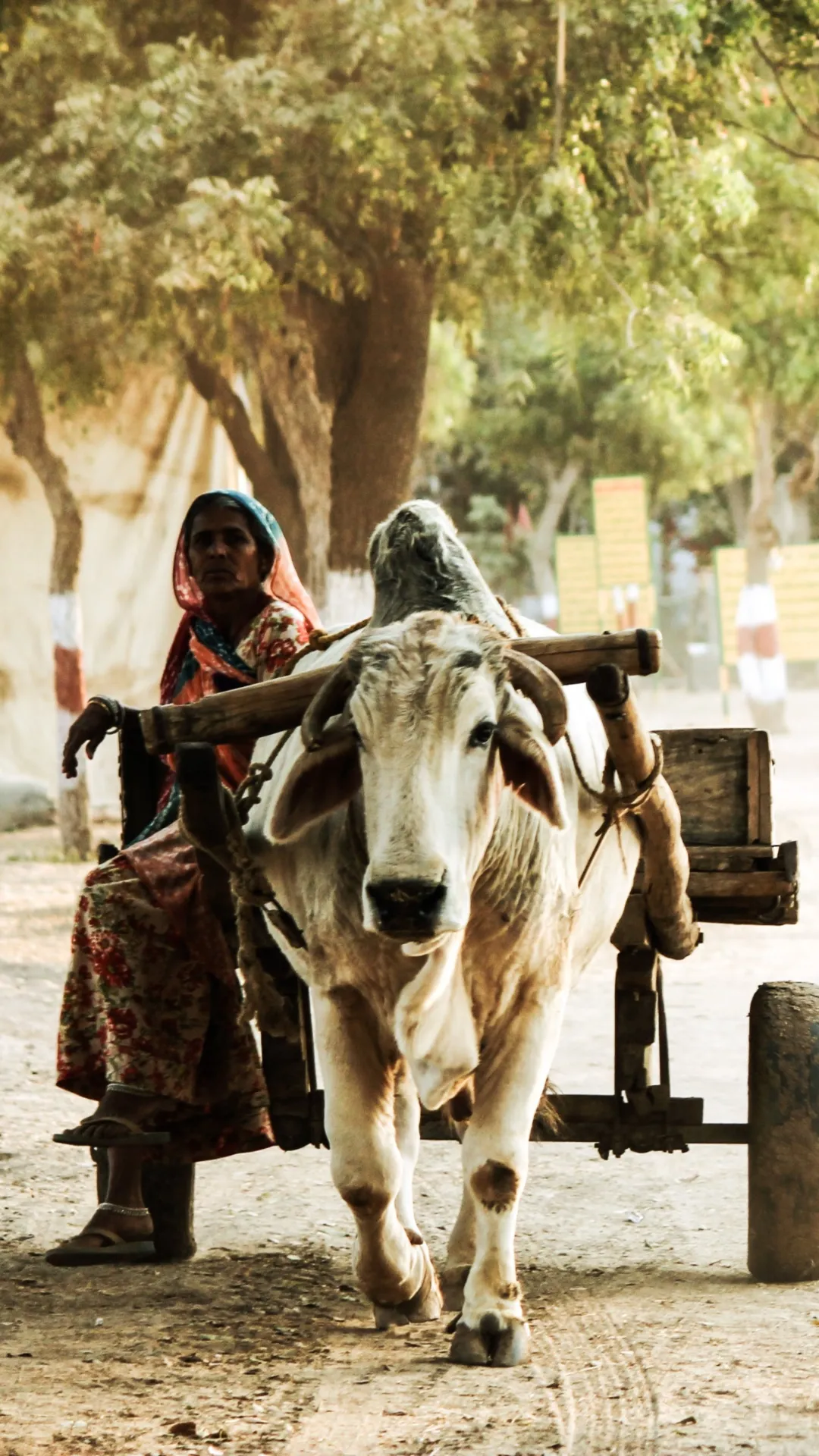 भारत में कुल कितने गांव हैं? हैरान कर देगी संख्या