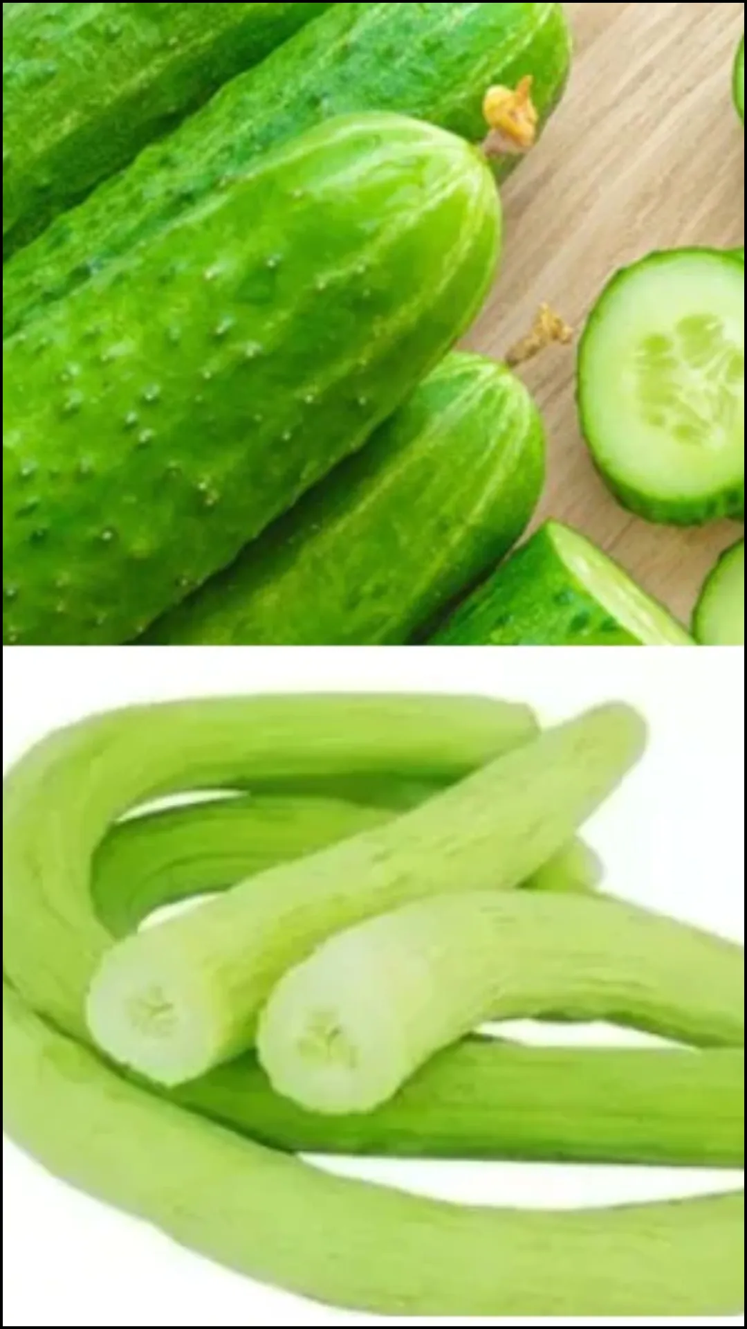 ककड़ी या खीरा, गर्मियों में क्या खाना सेहत के लिए है ज्यादा फायदेमंद 