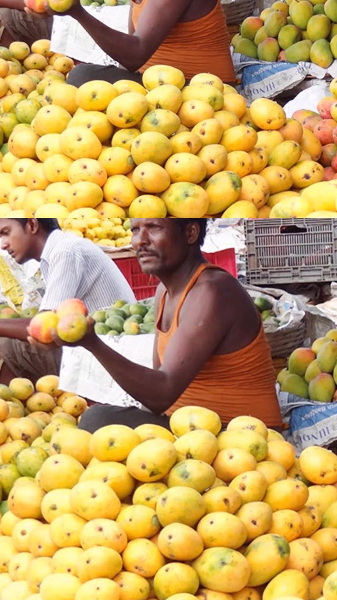 कैसे करें रसीले और मीठे आम की पहचान?