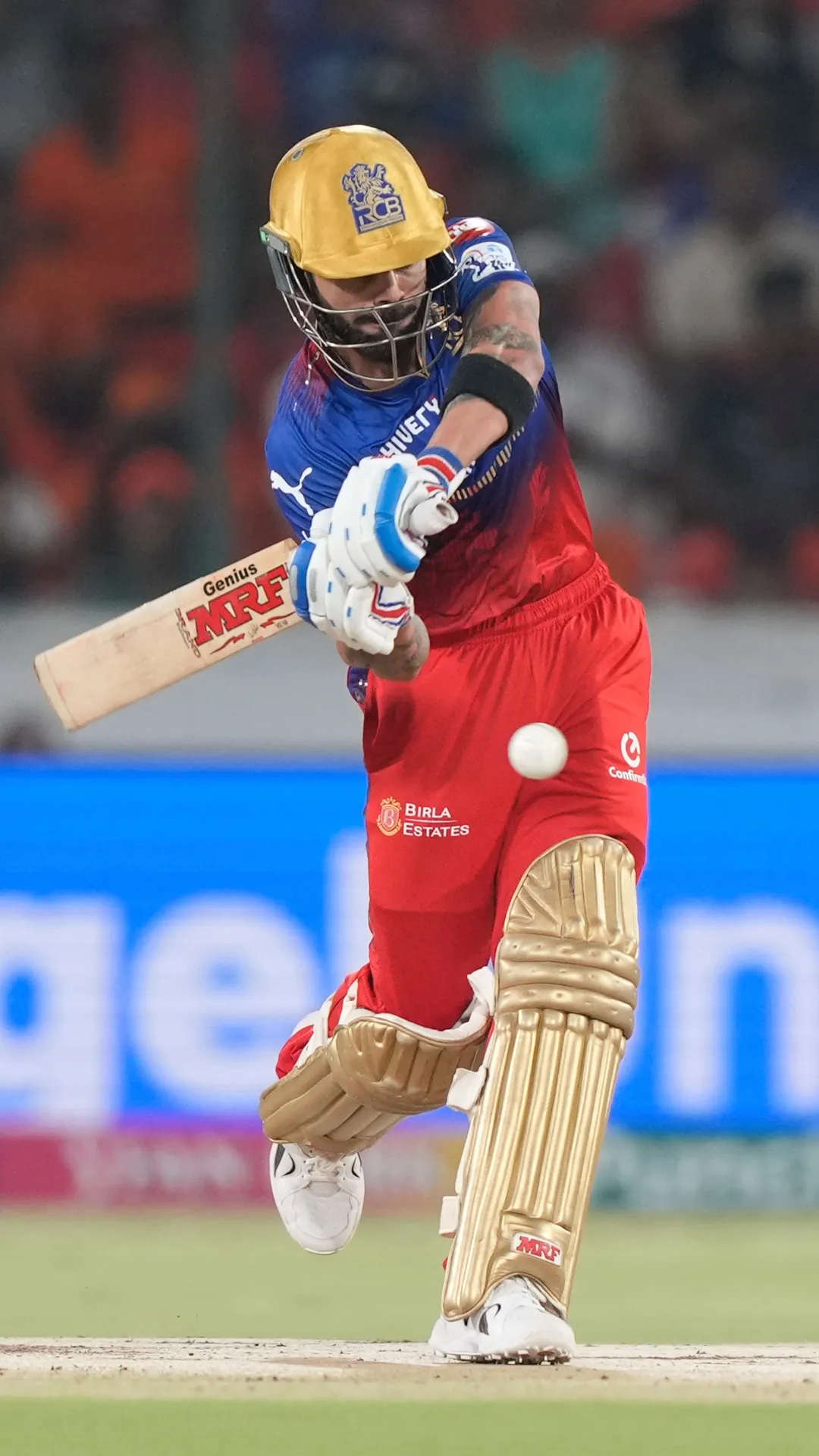 IPL इतिहास में सबसे ज्यादा बार एक सीजन में 400+ रन बनाने वाले बल्लेबाज