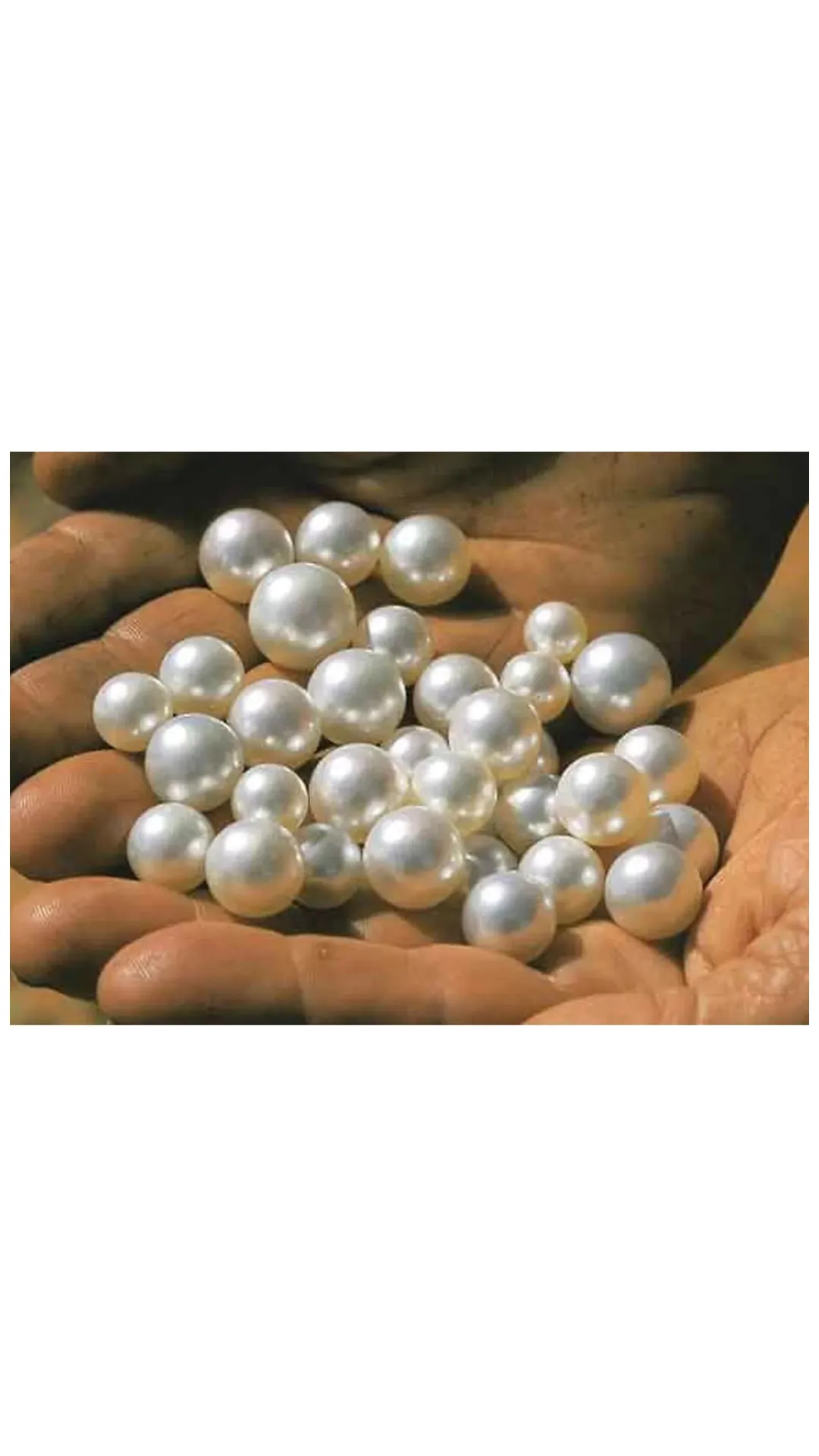 मोती पहनने से क्या फायदे होते हैं? किन राशियों के लिए शुभ
