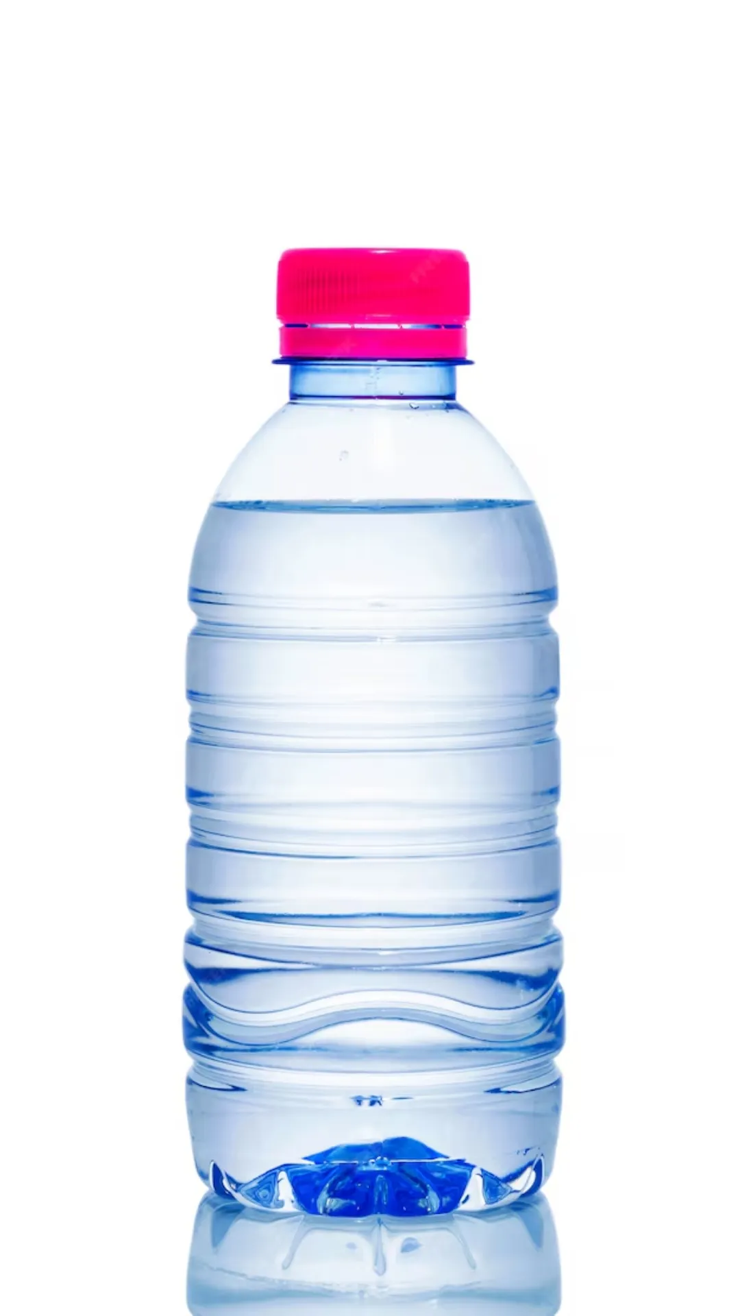 स्विटजरलैंड में एक बोतल पानी की कीमत 360 रुपये, जानें बाकी देशों का हाल
