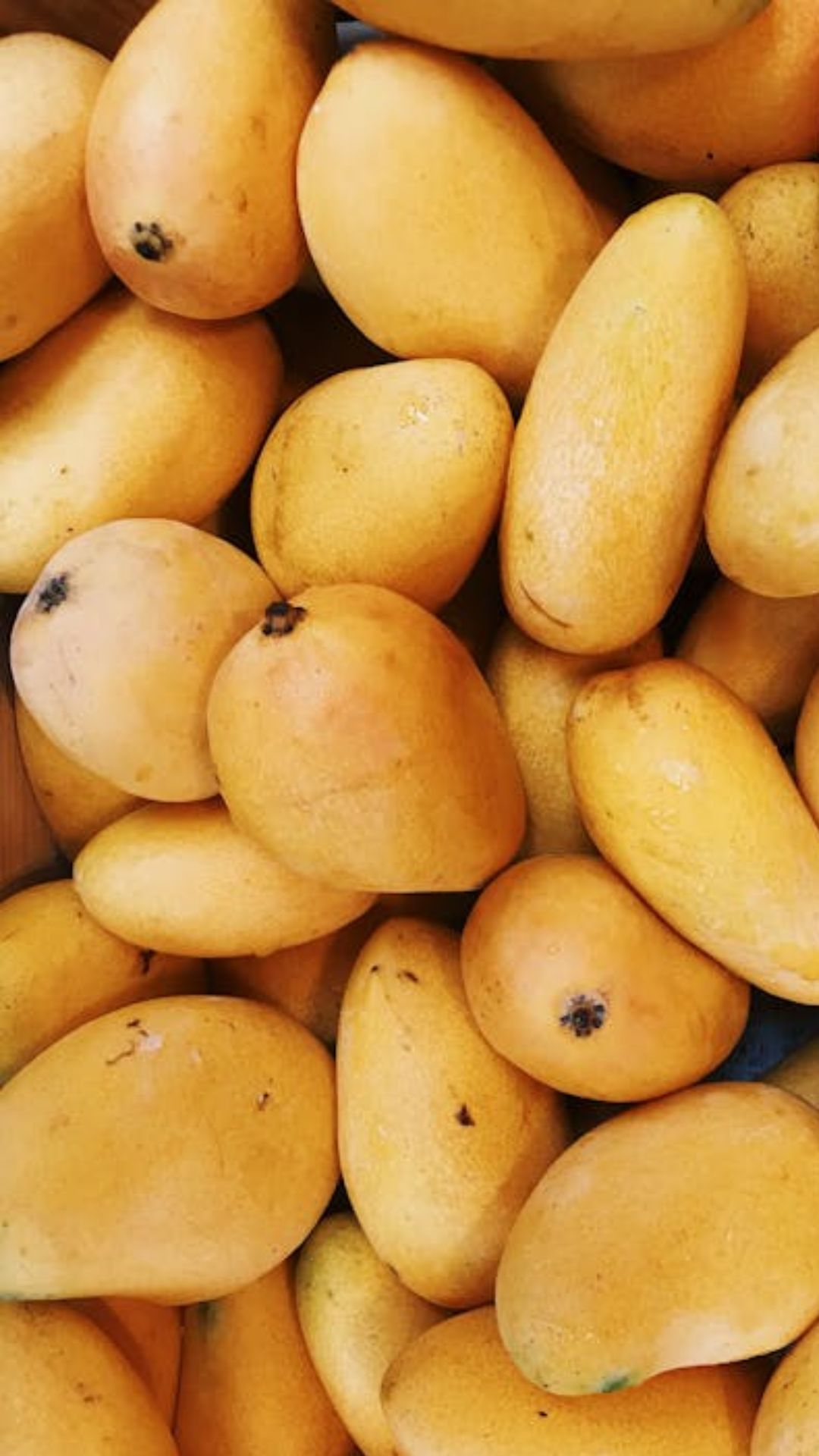 National Mango Day: भारत में सबसे पहले कहां उगाया गया था आम?