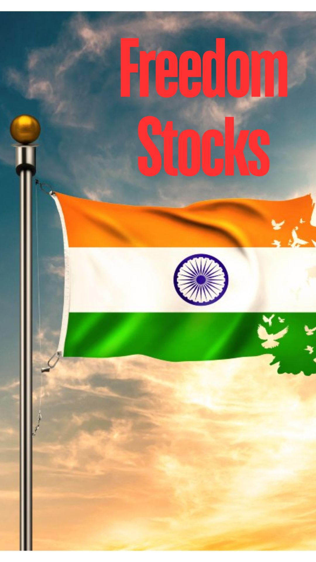 FREEDOM STOCKS: 15 अगस्त से 15 अगस्त तक, इन शेयरों ने दिया 1,500% तक बंपर रिटर्न