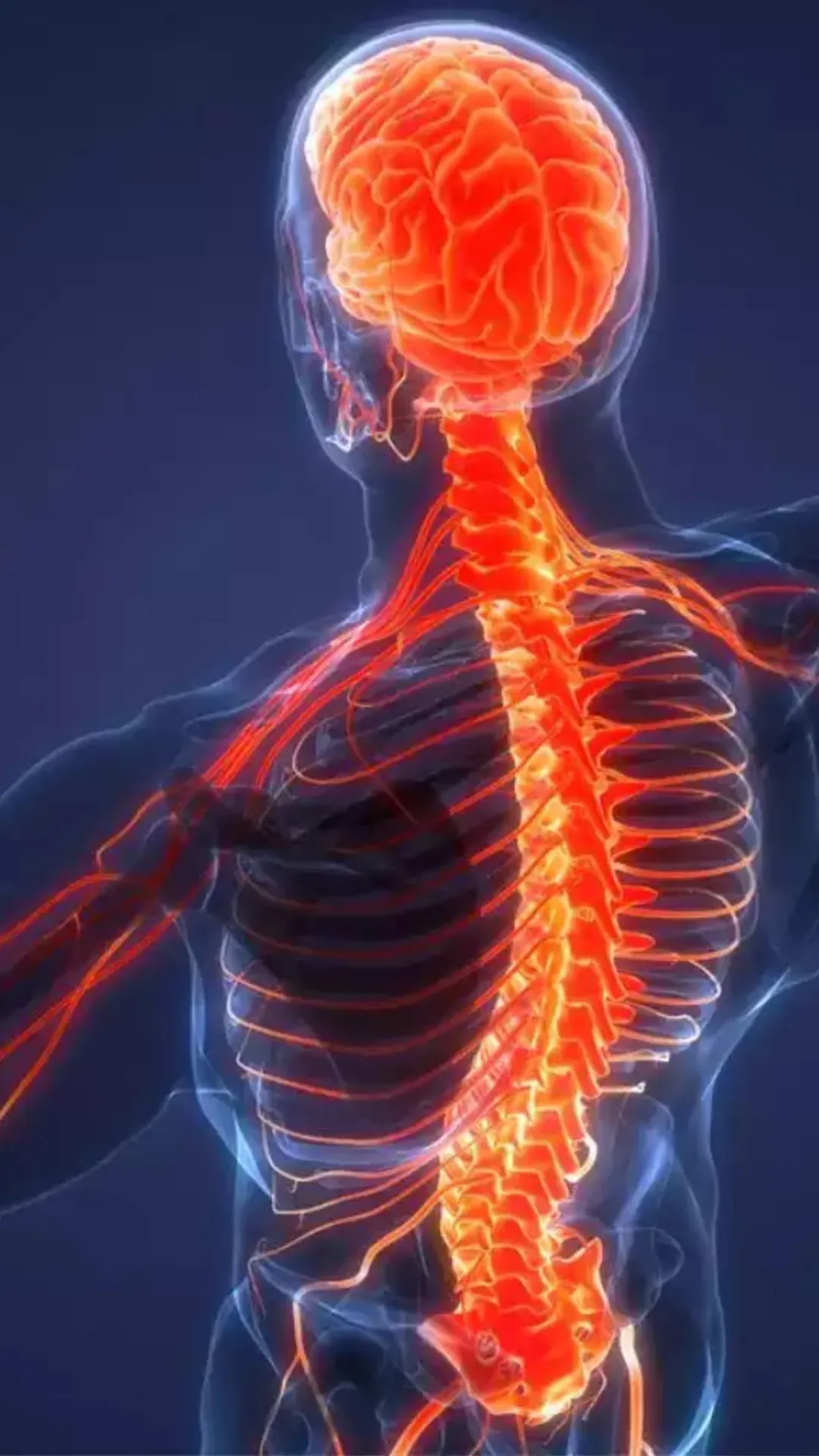 नर्वस सिस्टम को हेल्दी और मजबूत बनाने के लिए इन टिप्स को आज़माएं