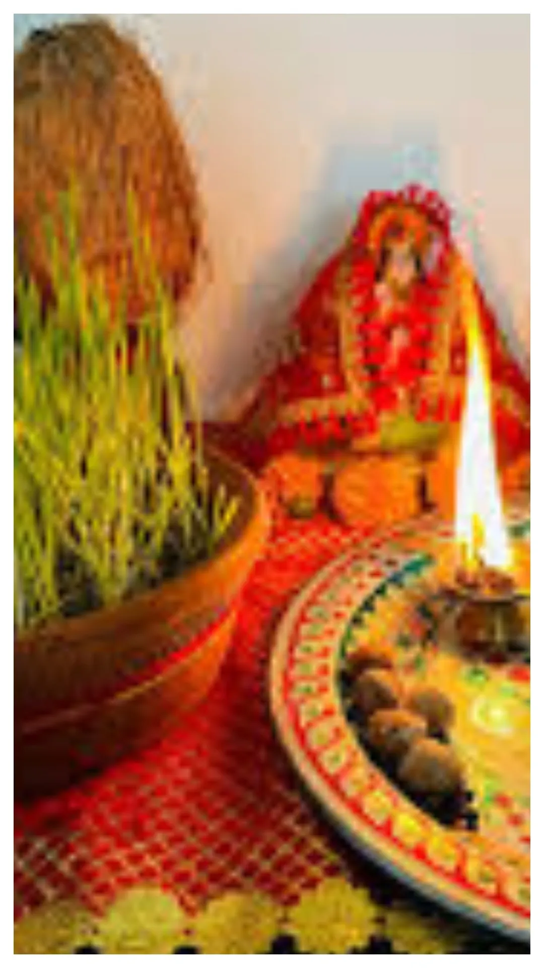 नवरात्रि में बोई गई जौ से ऐसे मिलते हैं शुभ और अशुभ संकेत, अभी जान लें