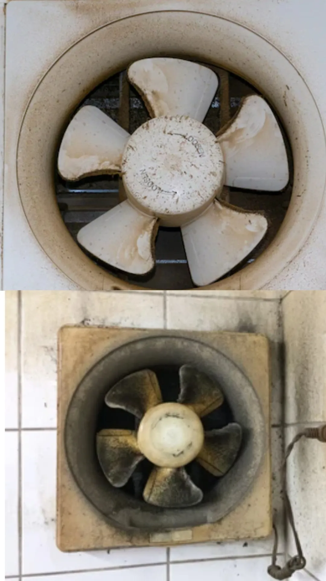 किचन के ग्रीसी, चिपचिपे और गंदे Exhaust Fan को इन टिप्स से मिनटों में चमकाएं