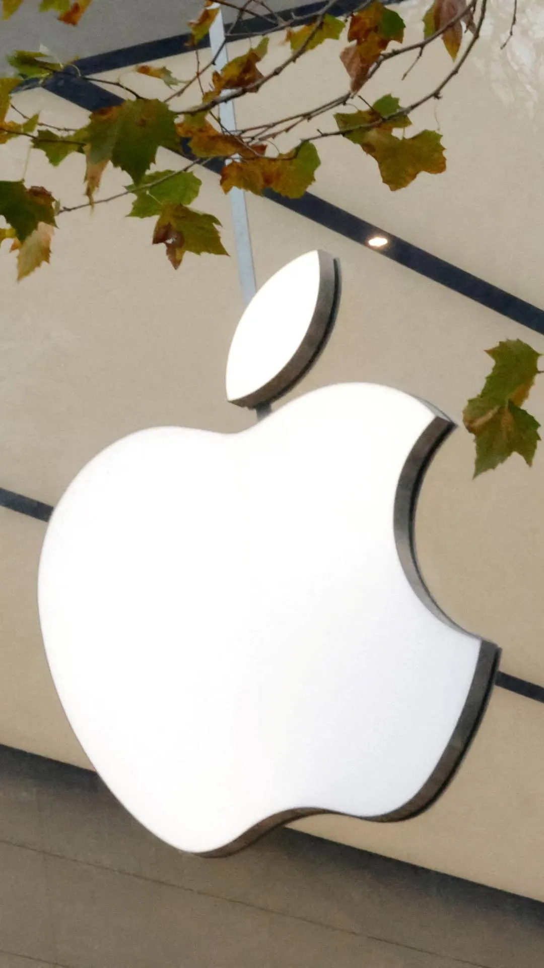 Year Ender 2024: एप्पल ने इस साल बंद किए ये 15 डिवाइस, देखें पूरी लिस्ट