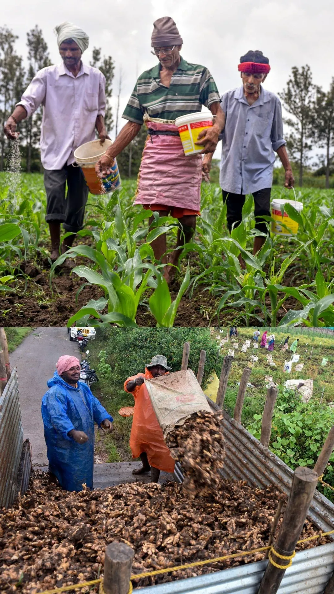 किसानों को सरकार दे रही ये शानदार बेनिफिट्स, ऐसे पा सकते हैं आप भी, जानें जरूरी बातें 