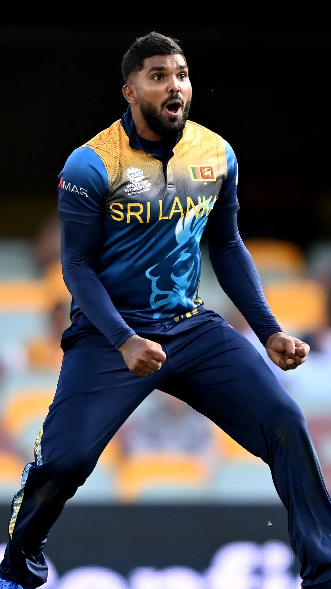 T20 क्रिकेट में सबसे कम मैचों में 300 विकेट लेने वाले गेंदबाज, इस बॉलर की हुई एंट्री