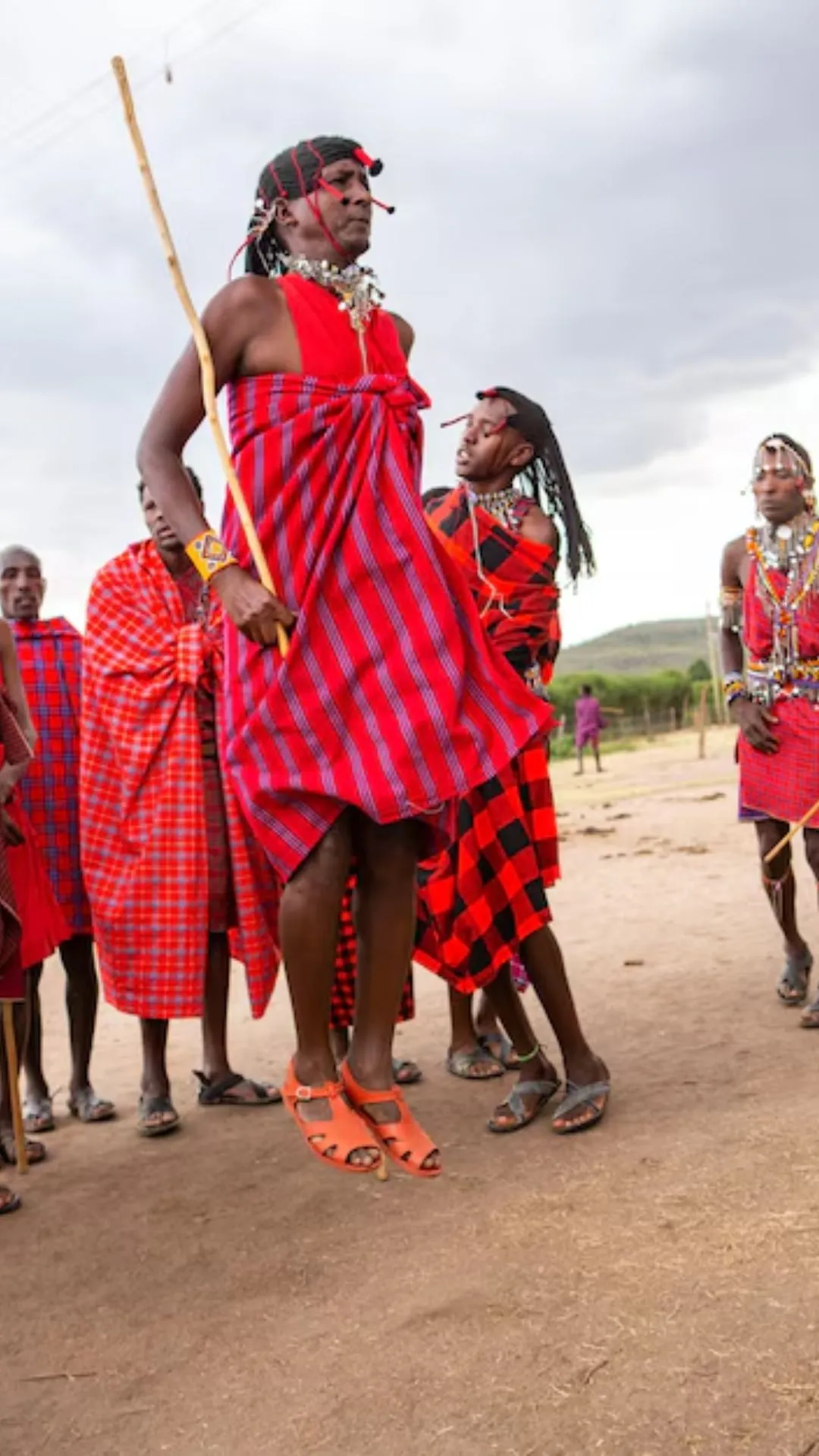 क्या आप ऐसी जनजाति के बारे में जानते हैं जो गायों को अत्यधिक महत्व देती है साथ ही शेरों से है उनका खास रिश्ता है? चलिए हम बताते हैं। 