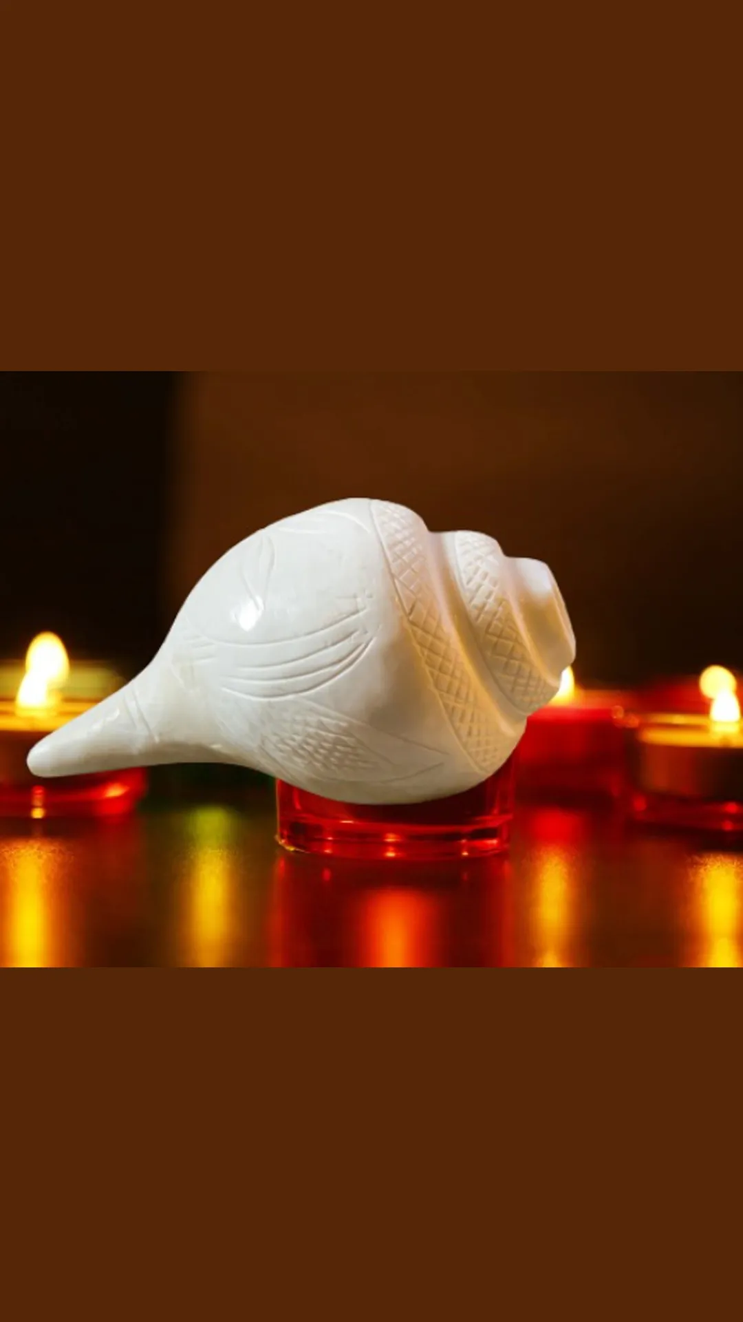 इस शंख को घर में रखने से धन-संपत्ति में होती है बरकत