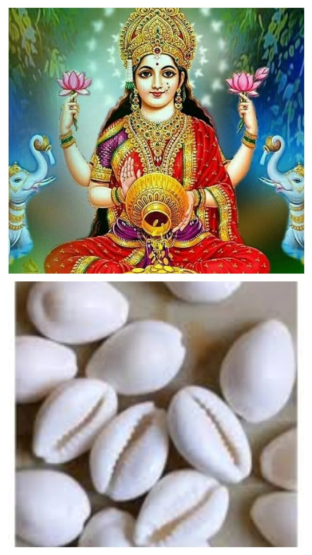 Magh Purnima: लक्ष्मी पूजन के बाद इन 3 स्थानों पर रख दें कौड़ी, फिर होगा चमत्कार
