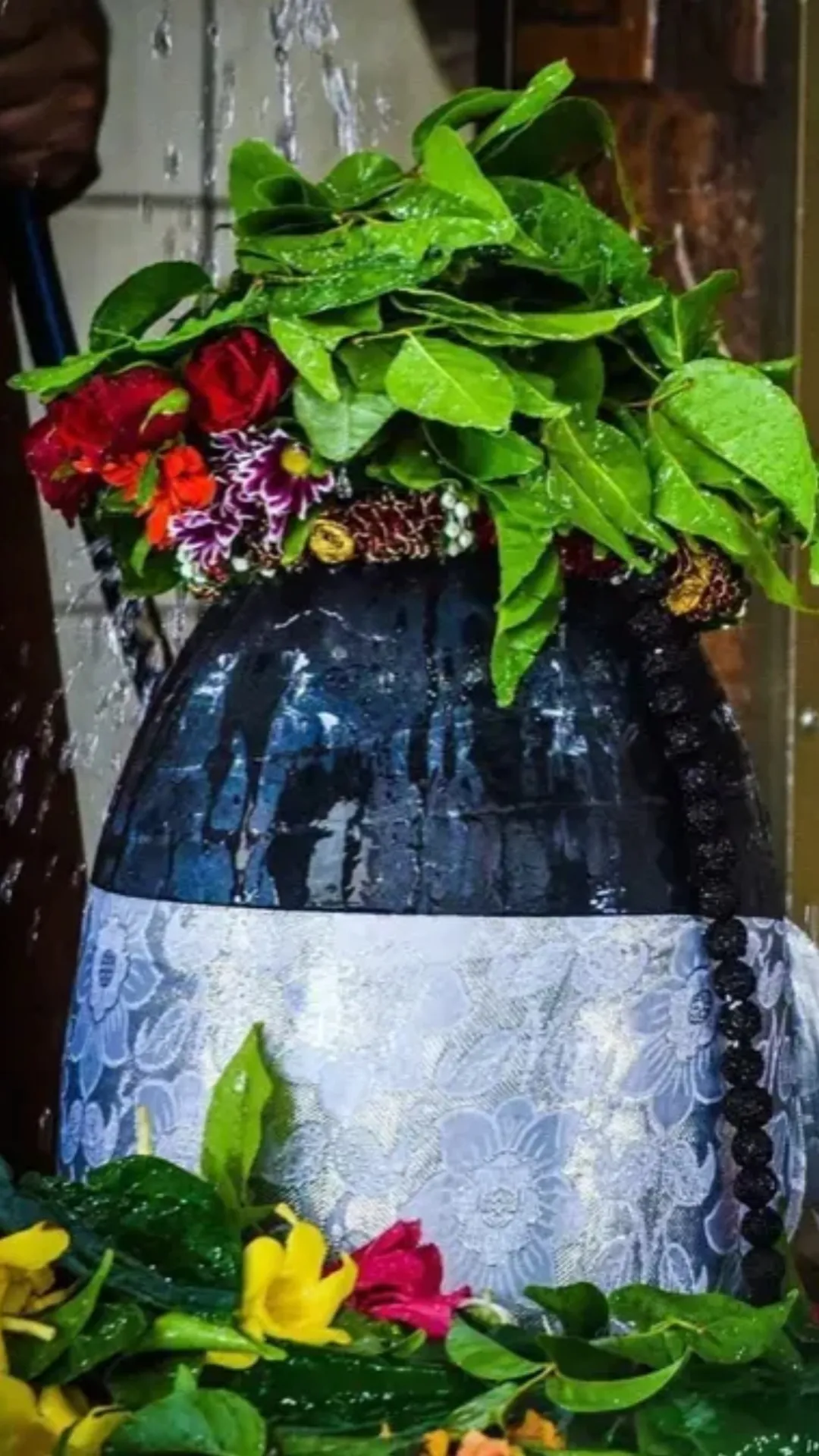 बेलपत्र किस दिन नहीं तोड़ना चाहिए? जानिए नियम