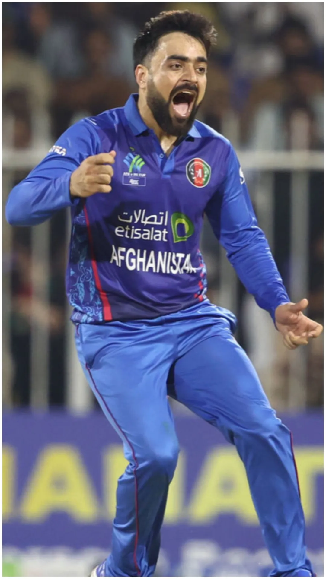 T20 क्रिकेट में सबसे ज्यादा विकेट लेने वाले गेंदबाज, राशिद खान टॉप पर पहुंचे 