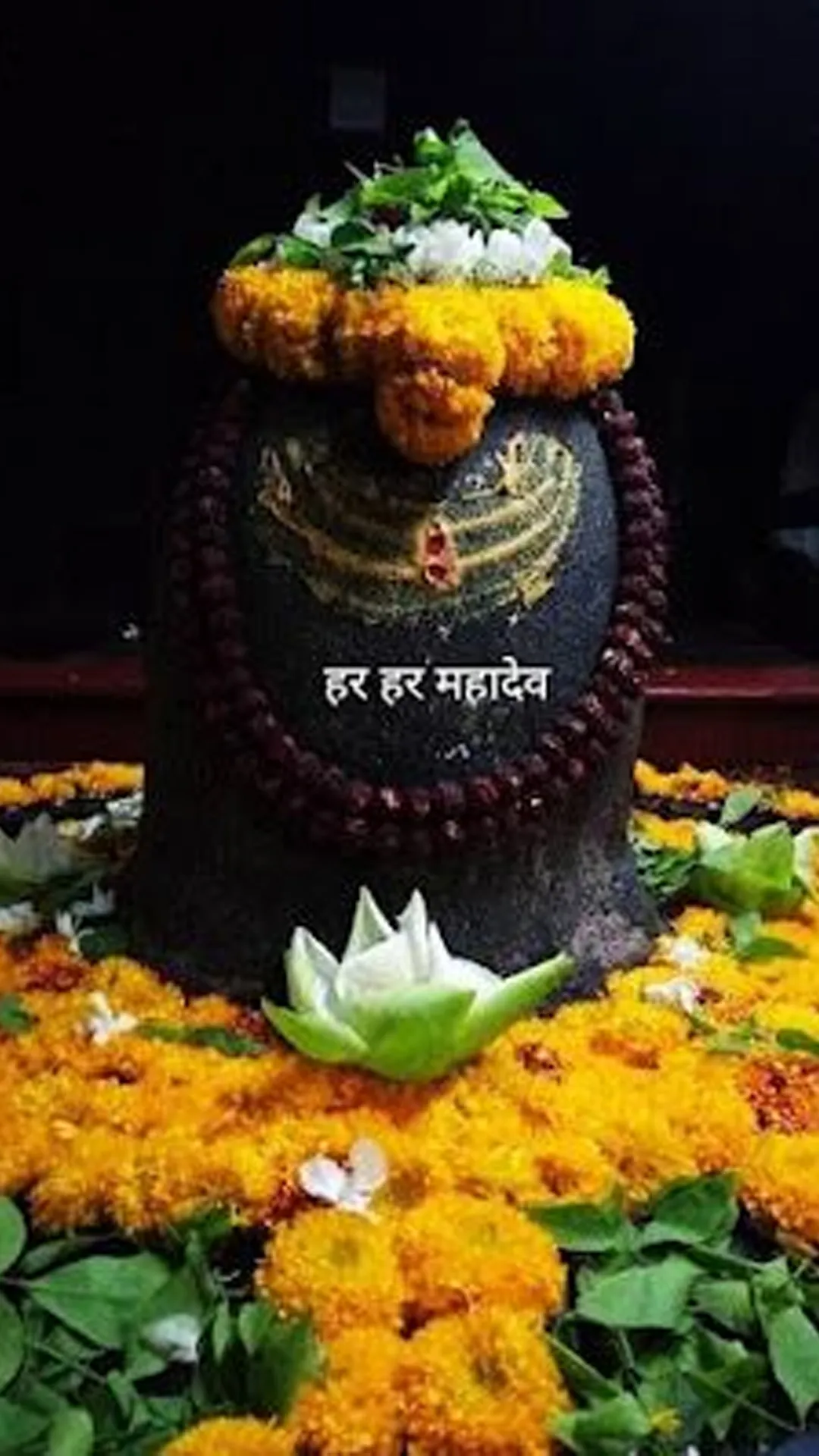 किस दिशा में मुंहकर करनी चाहिए शिवलिंग की पूजा? जानें