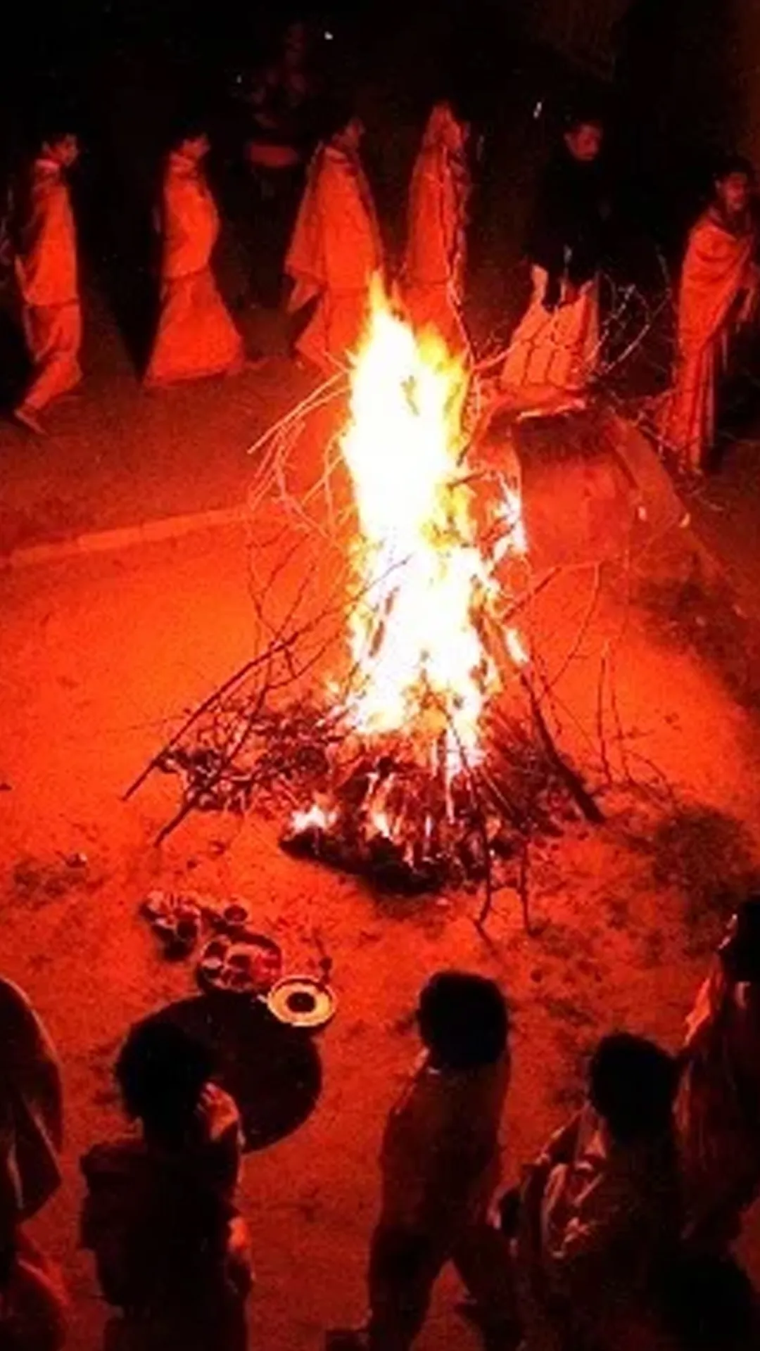 होलिका दहन की आग में भूलकर भी न चढ़ाएं ये चीजें, वरना छिन जाएगी घर की सुख-शांति