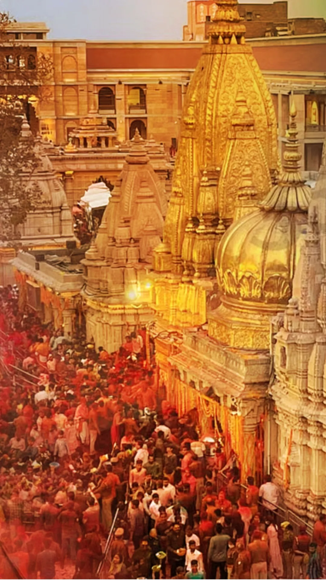 रंगभरी एकादशी को क्या करना चाहिए? जानिए