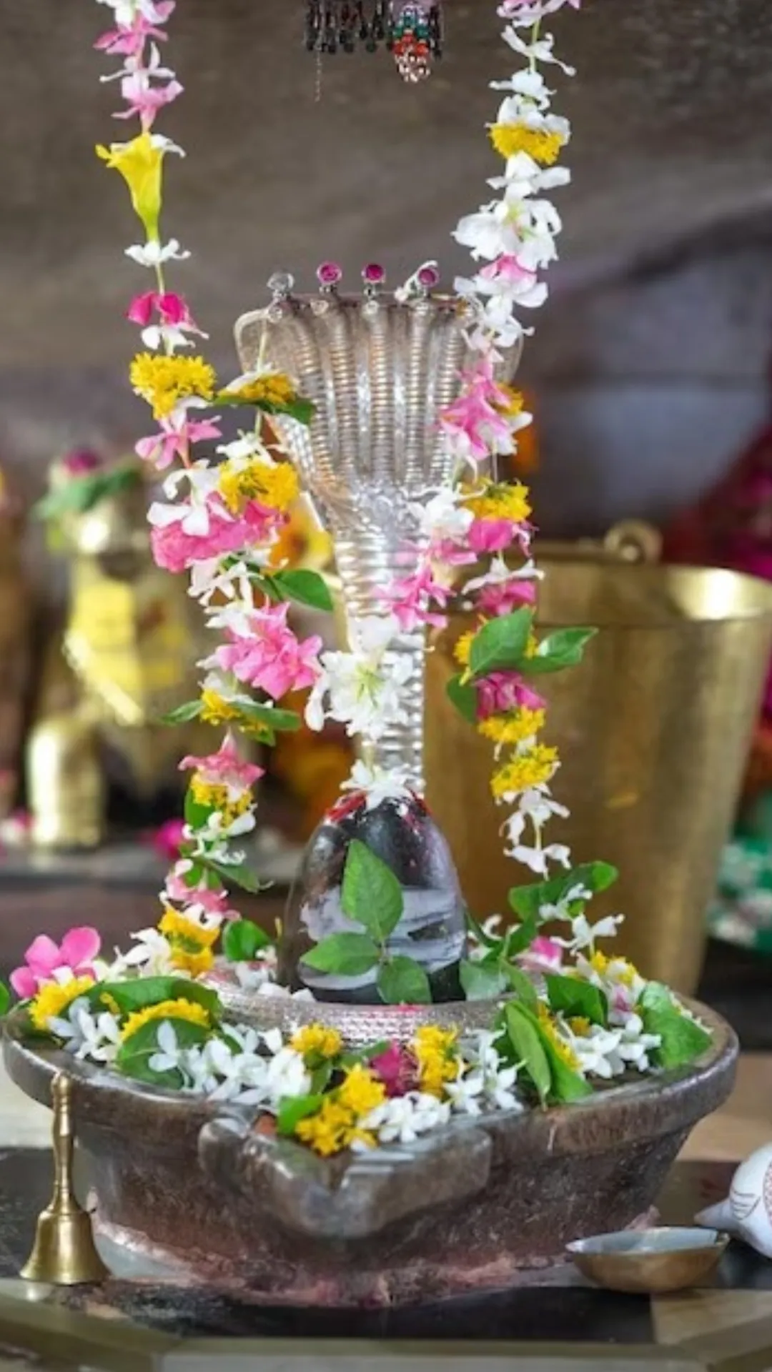 शिवलिंग पर कौन सा फल नहीं चढ़ाना चाहिए? जानें नियम