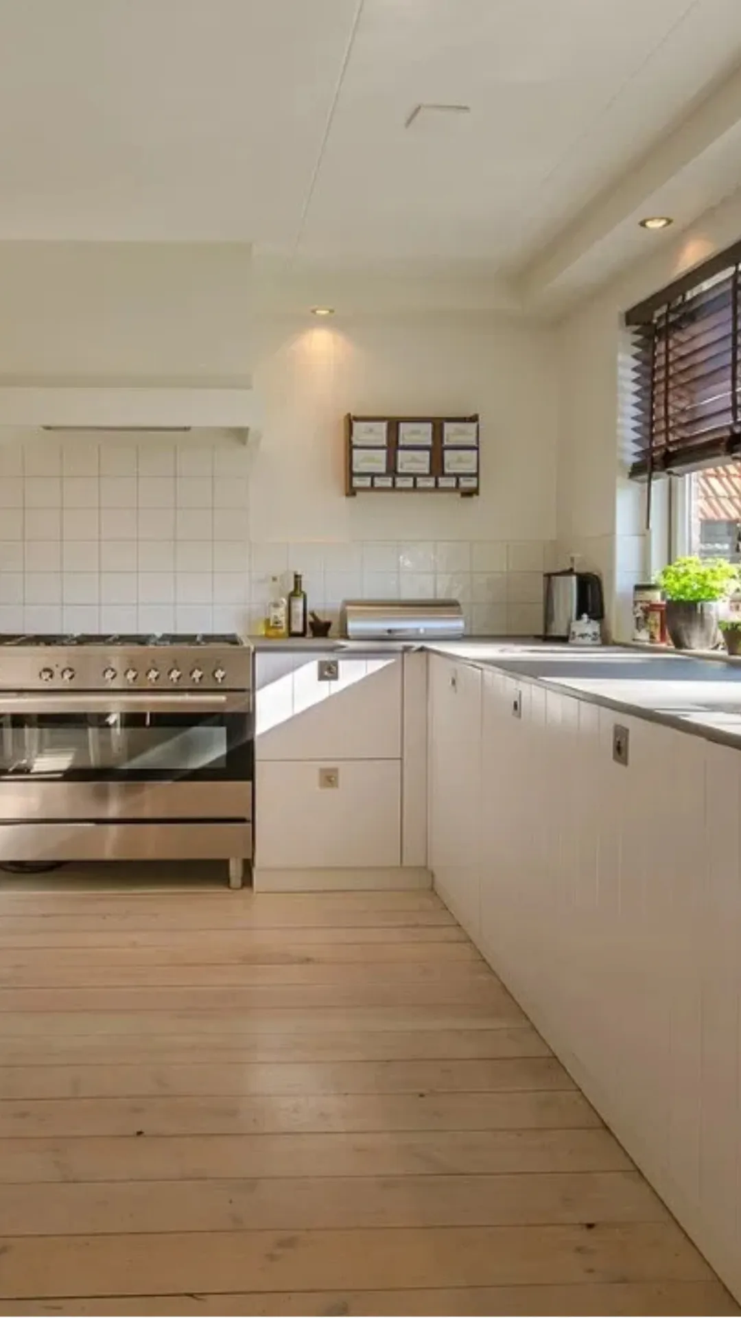 Vastu Tips: रात को किचन में रख दें ये 1 चीज, बड़े से बड़े कर्ज से मिलेगी मुक्ति