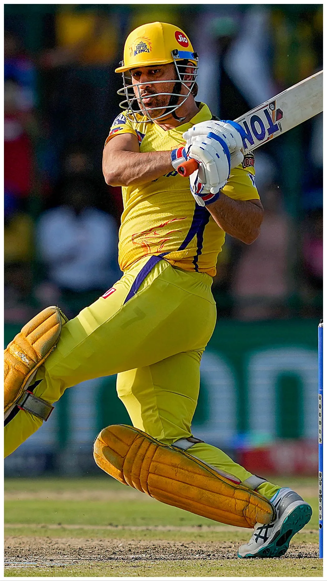 IPL में सबसे ज्यादा रन बनाने वाले कप्तान, विराट कोहली से कितना पीछे हैं एमएस धोनी