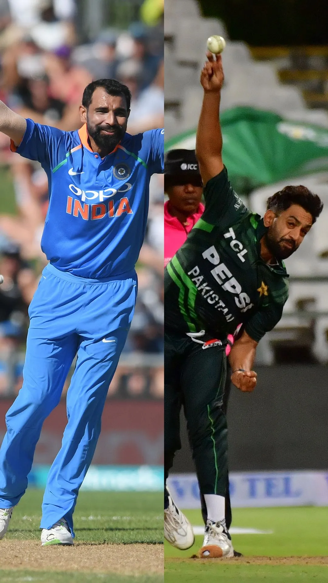 मोहम्मद शमी बनाम हारिस रऊफ 50 वनडे मैचों के बाद ऐसा था दोनों का रिकॉर्ड