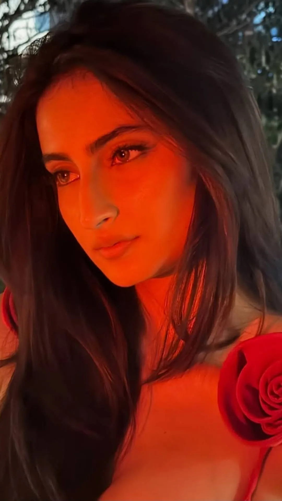 'वो पूरी रात घर नहीं गया...' जब पलक तिवारी की जिद बॉयफ्रेंड को पड़ी भारी, सुनाई प्यार की कहानी