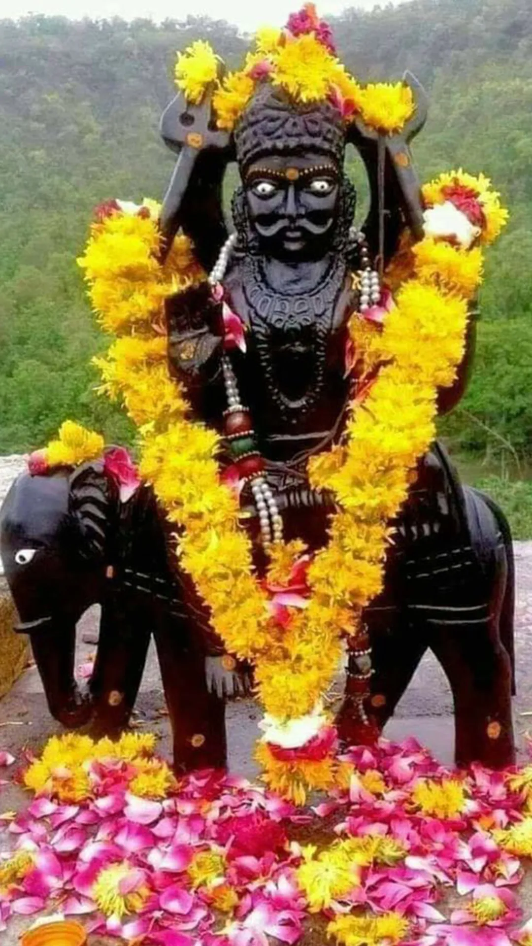 शनिदेव का प्रिय पौधा कौन सा है? जानें