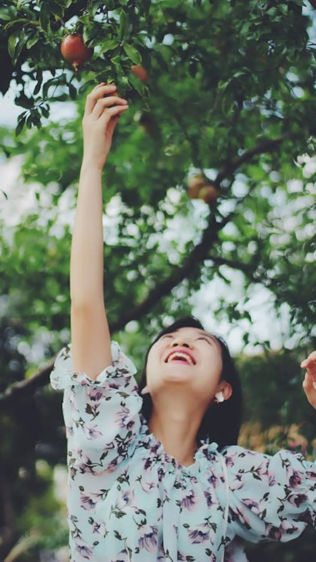 फायदे छोड़िए, पहले 'अनार' का हिंदी नाम जान लीजिए  