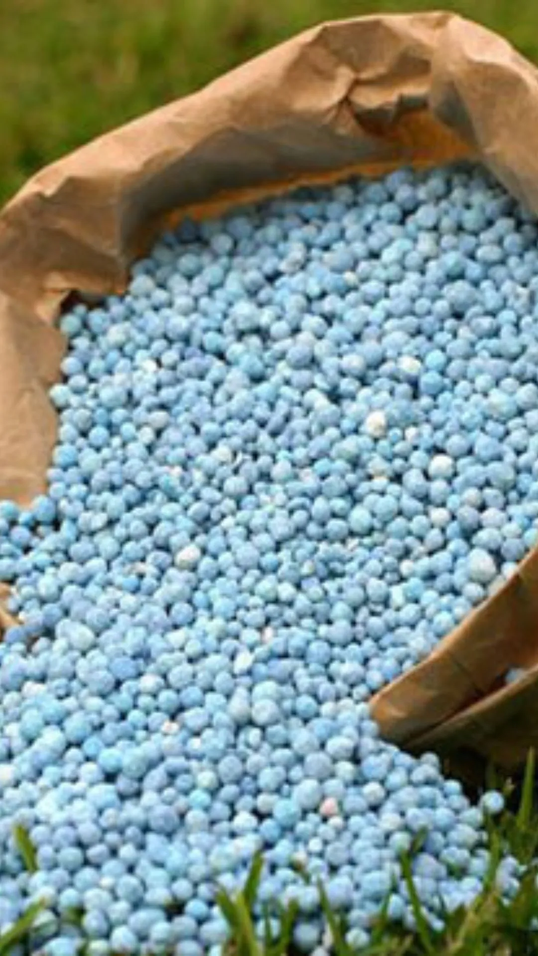 ₹5 का शेयर 1 साल में 350 रुपये का हुआ, 100000 लाख हो गया 70 लाख, खाद बनाती है कंपनी 