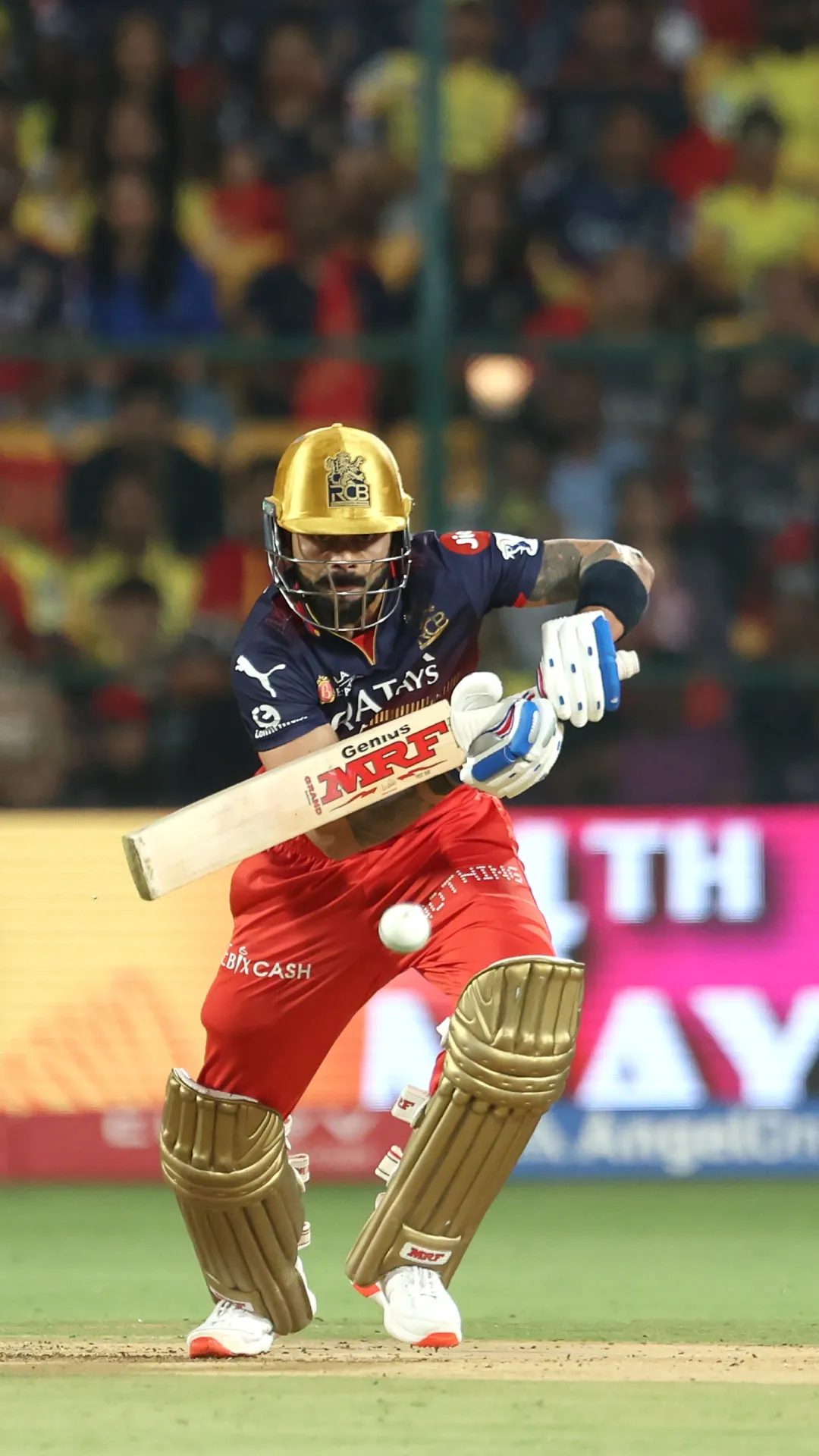IPL में सबसे ज्यादा बार नाबाद पवेलियन लौटने वाले खिलाड़ी