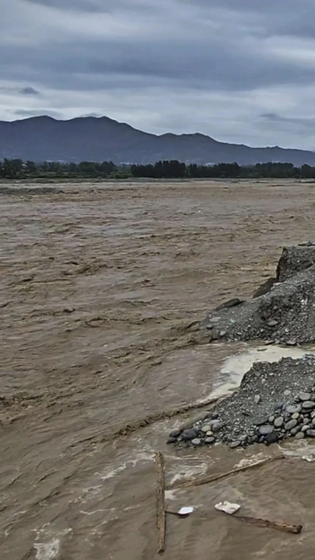 पाकिस्तान में भारी बारिश ने कहर बरपा दिया है। यहां आम जनजीवन बुरी तरह प्रभावित हुआ है।
