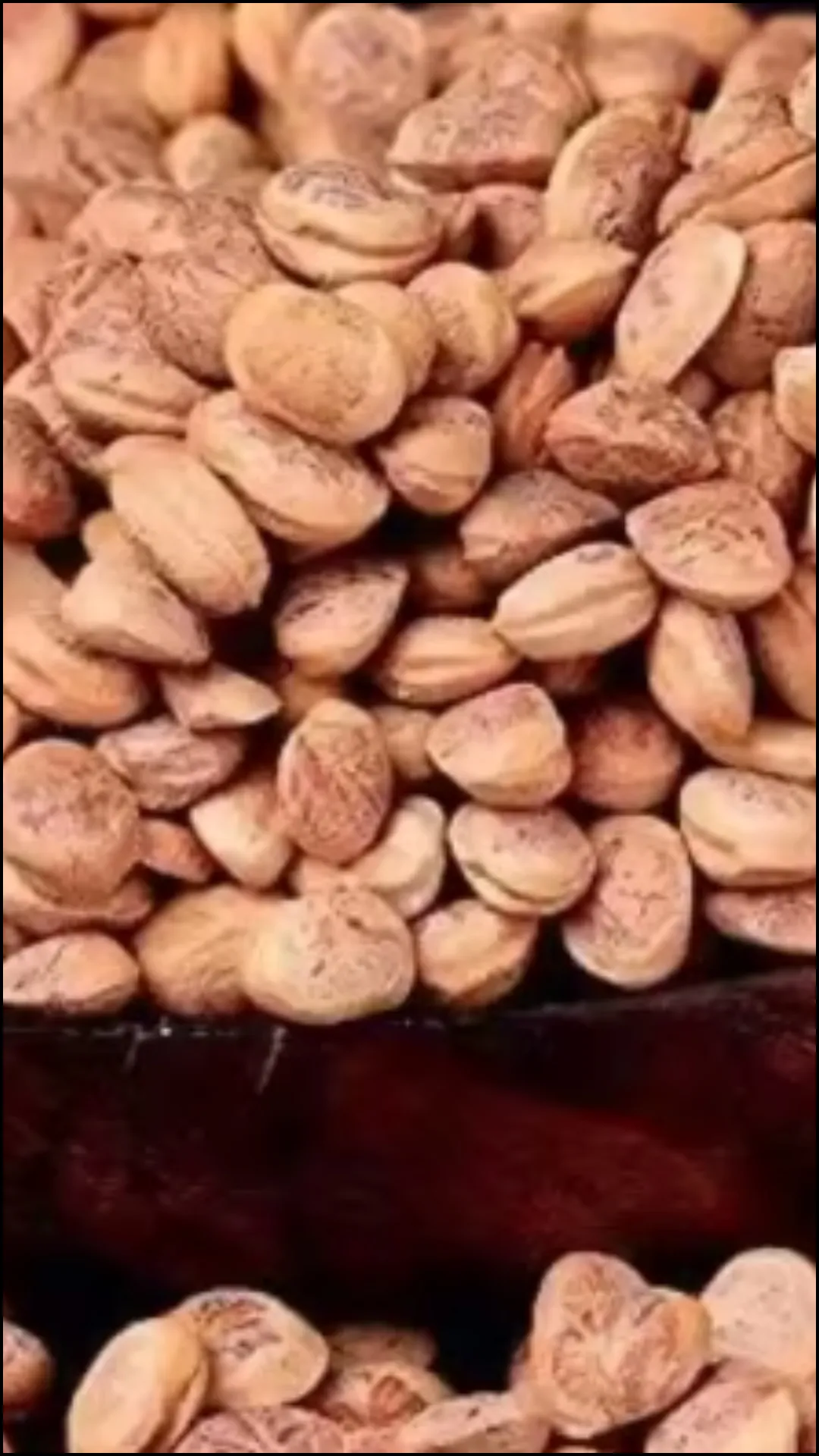 चिरौंजी किस अंग के लिए फायदेमंद होती है