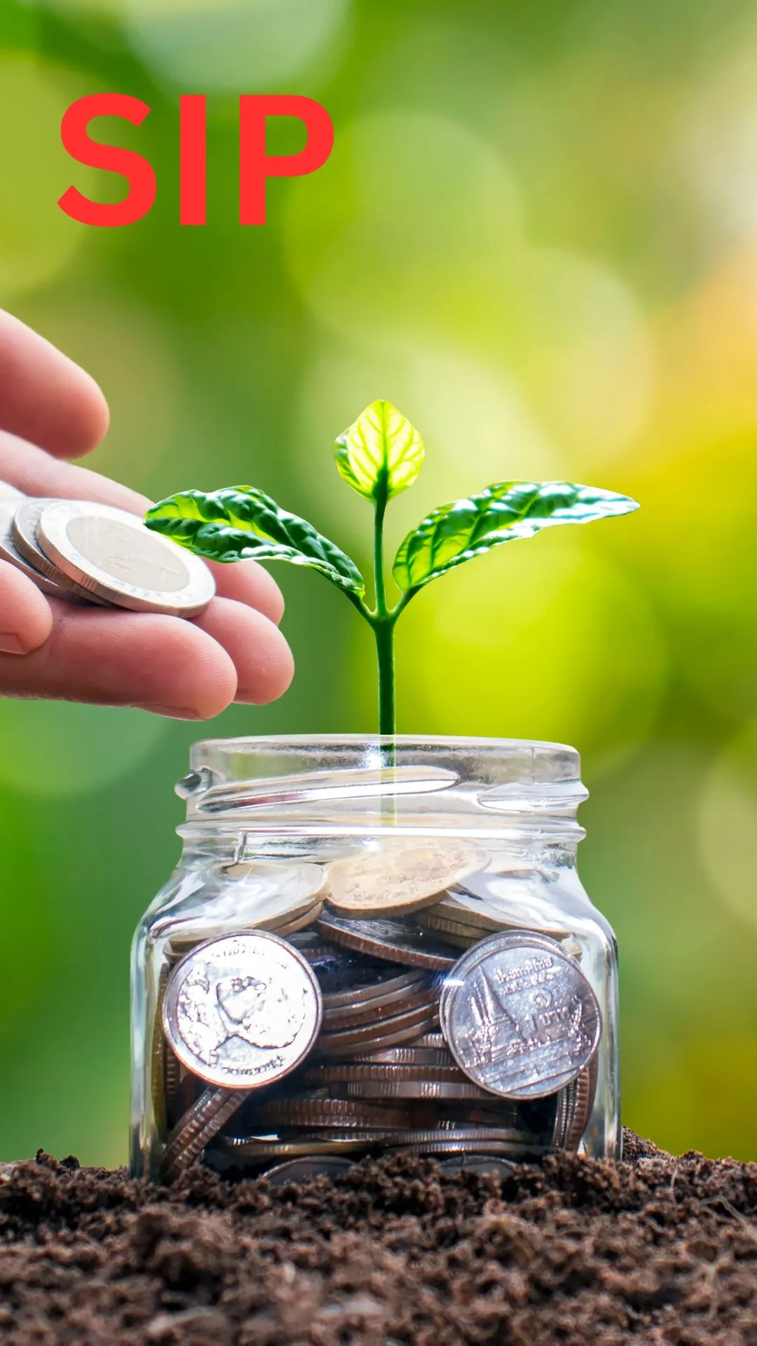 SIP Calculator: ₹50 लाख का फंड अगले 15 साल में करना हो तैयार तो आज से कितने की SIP करानी होगी?